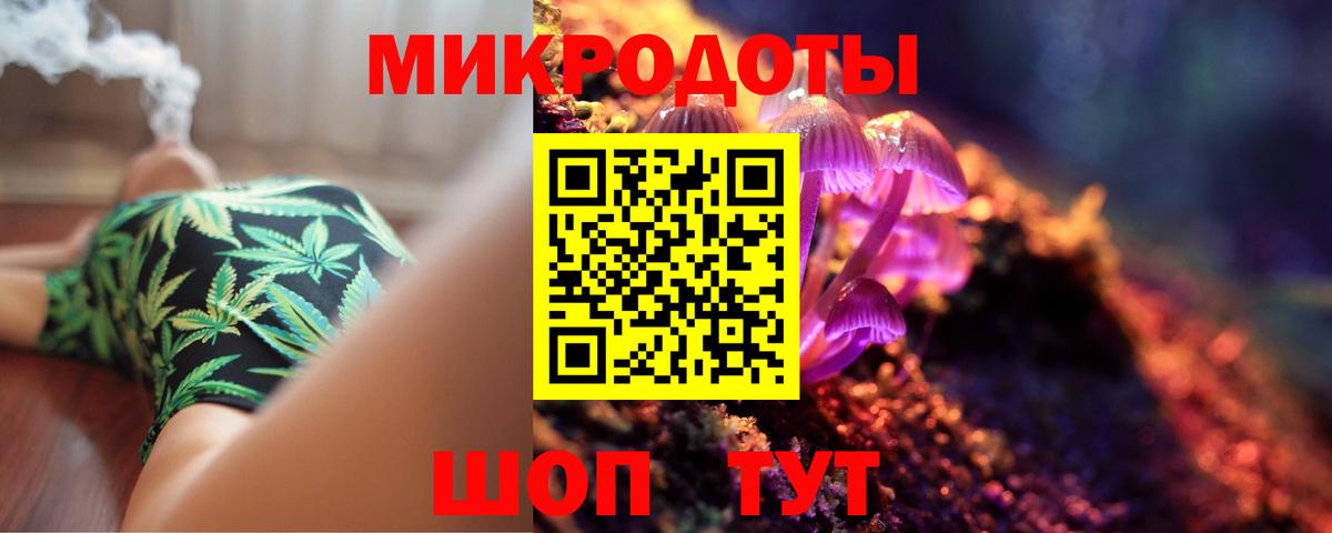 Галлюциногенные грибы Cubensis  Галлюциногенные грибы прущие грибы  Кунгур  Вход с VPN 